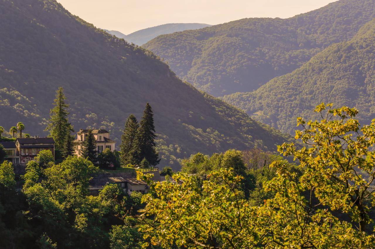 Villa Edera Wild Valley Hostel Auressio Esterno foto