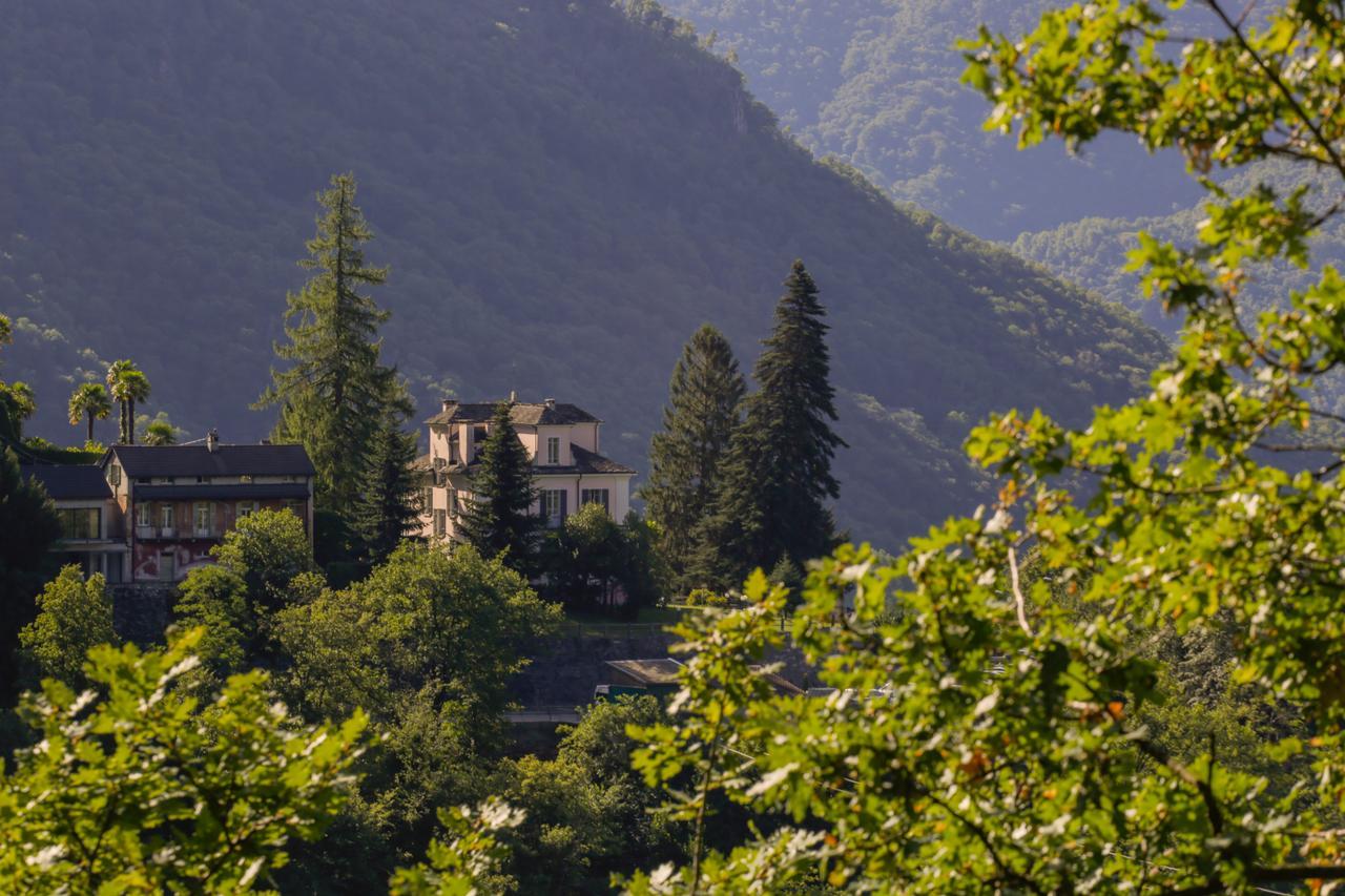 Villa Edera Wild Valley Hostel Auressio Esterno foto
